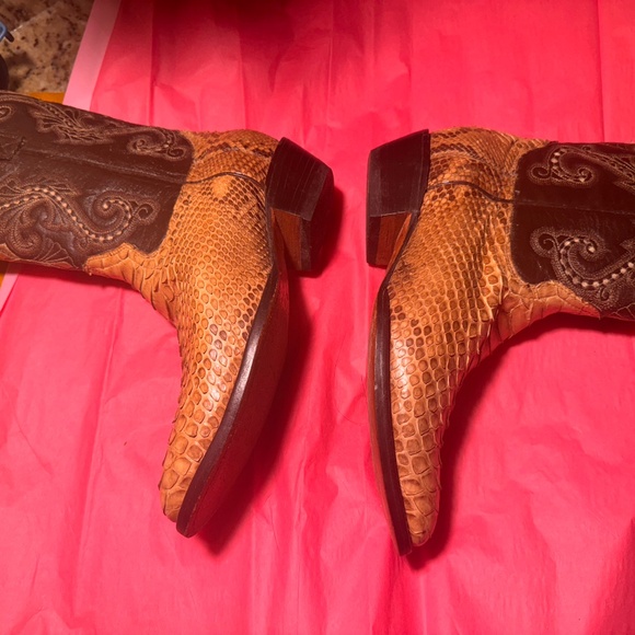 Pythons - Picture 2 of 5